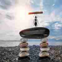 精​准‍seo是‍从‍何‌而‍来﻿